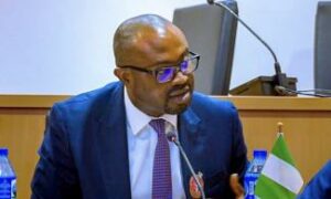 Minister of Interior, Olubunmi Tunji-Ojo