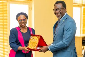 NAICOM, CIIN tackle insurers’ knowledge gap