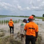NEMA-flooding