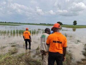 NEMA-flooding