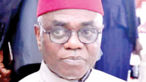 Chief Fidelis Ozichukwu
