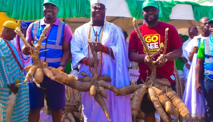 Ooni of Ife, Oba Adeyeye Enitan Ogunwusi