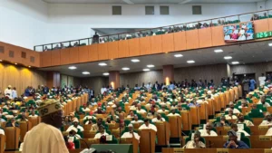 Tinubu presents 2025 budget