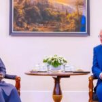 Tinubu and the German President
