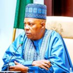 Vice President Kashim Shettima