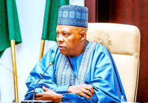 Vice President Kashim Shettima