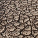 dry