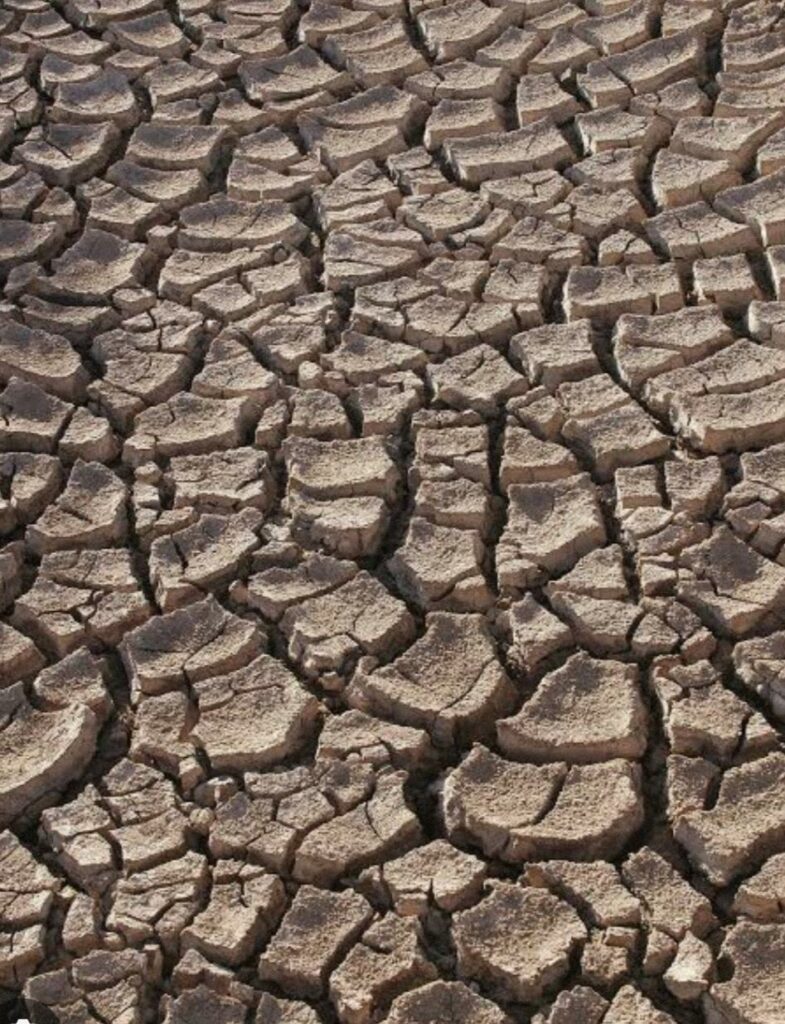 dry