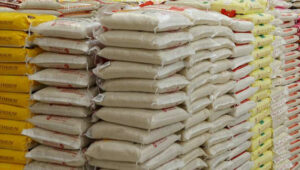 rice-new-e1723138903192