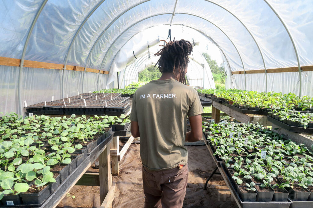 National Urban Agricultural Programme