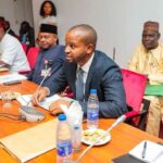 APGA lauds Senate for confirming Mark Okoye as MD of SEDC