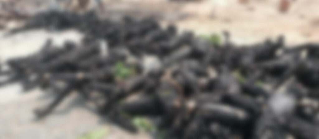 Niger: 60 burnt to death in petroleum tanker explosion