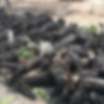 Niger: 60 burnt to death in petroleum tanker explosion