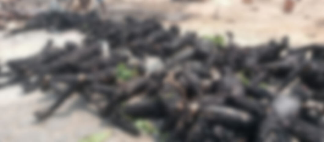 Niger: 60 burnt to death in petroleum tanker explosion