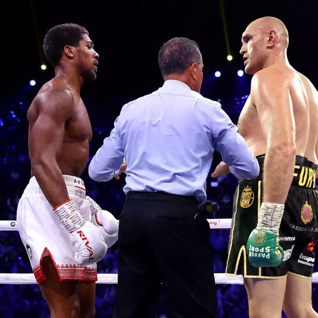 Joshua and Fury