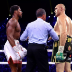 Joshua and Fury