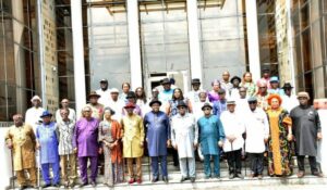 Diri tasks PANDEF on N’Delta devt