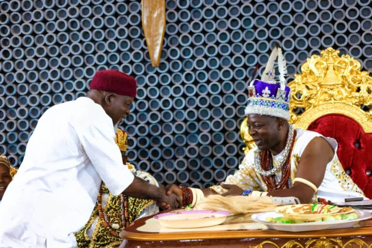 Enugu seeks traditional rulers