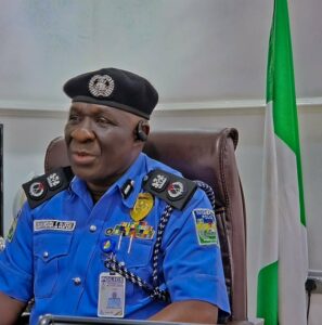 Delta State Police Commissioner Abaniwonda Olufemi