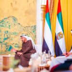 UAE President Al Nahyan to visit Nigeria this year at Tinubu’s invitation