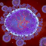 Human Metapneumovirus (HMPV)