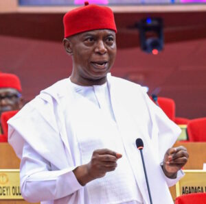 Senator Ned Nwoko