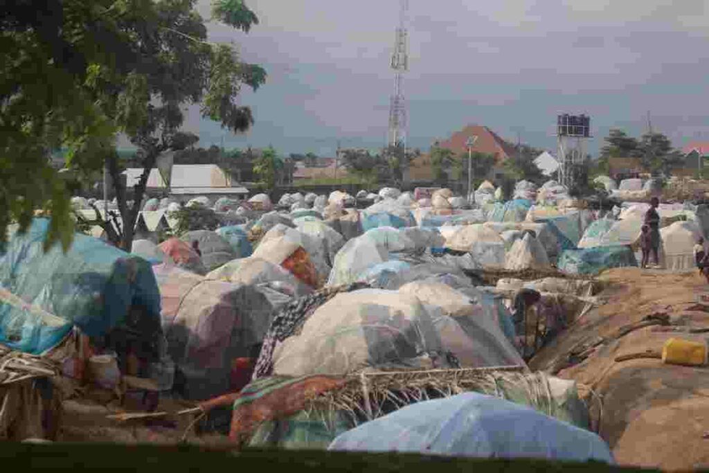 IOM moves to empower Benue IDPs