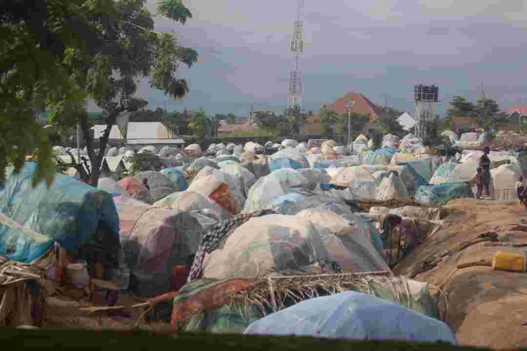 IOM moves to empower Benue IDPs