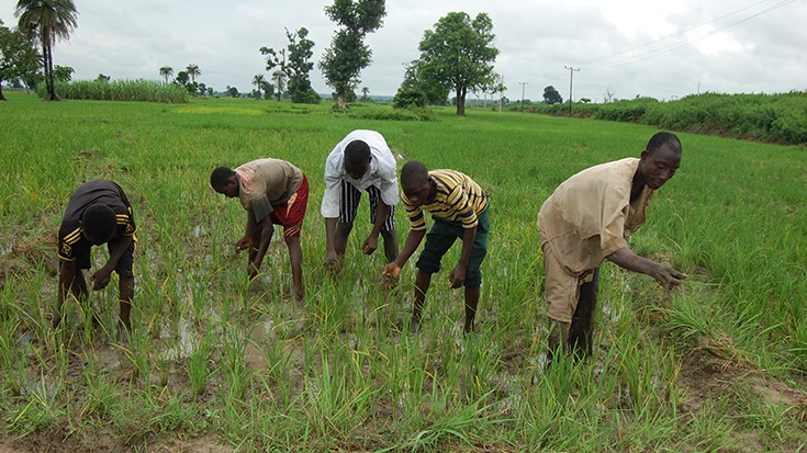 National-Agricultural-Land-Development-Authority-NALDA