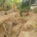 One of the erosion-ridden sites