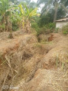 One of the erosion-ridden sites