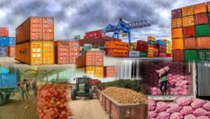 Top-African-countries-driving-global-exports-in-key-agricultural-products