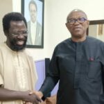 Dele Farotimi and Peter Obi