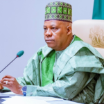 Vice President Kashim Shettima