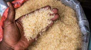 bag-of-rice-678×375-1