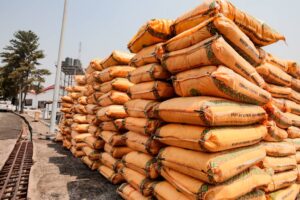 Abia North: Sen. Kalu distributes 5,000 bags of rice, 1,000 bags of fertilizer, says Tinubu working hard to fix economy