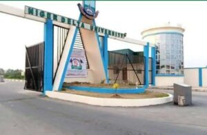 Niger Delta University main gate