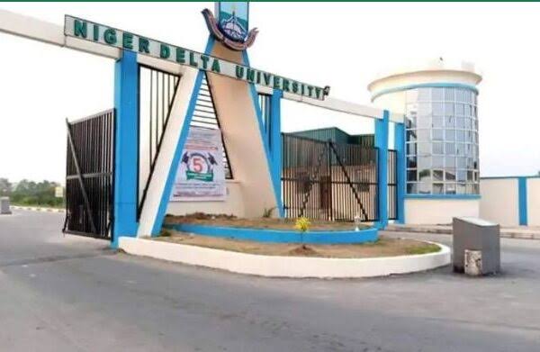 Niger Delta University main gate