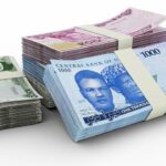 naira notes