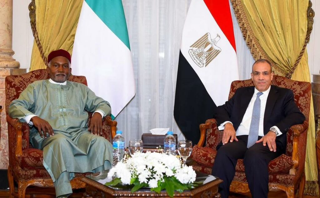 nigeria-egypt-elevate-relationship-to-comprehensive-partnership