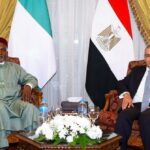 nigeria-egypt-elevate-relationship-to-comprehensive-partnership