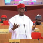 Senator Ned Nwoko
