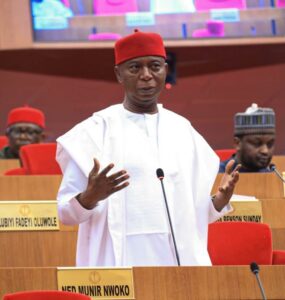 Senator Ned Nwoko