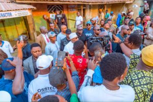 Adeleke-cast