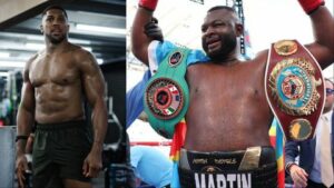 Bakole, Anthony Joshua fight