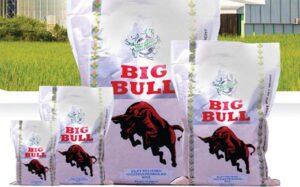 Big-Bull-Rice