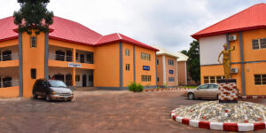 Godfrey Okoye University