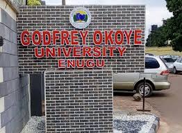 Godfrey Okoye varsity