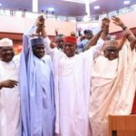 Senator Ned Nwoko
