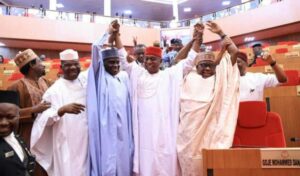 Senator Ned Nwoko